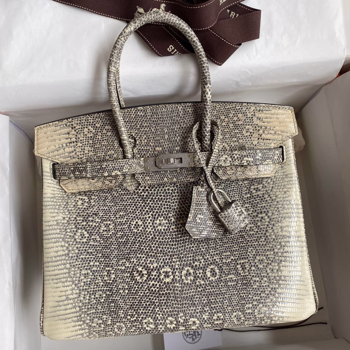 Hermes Birkin 25 Retourne Handmade Bag In Ombre Lizard Leather - Image 1