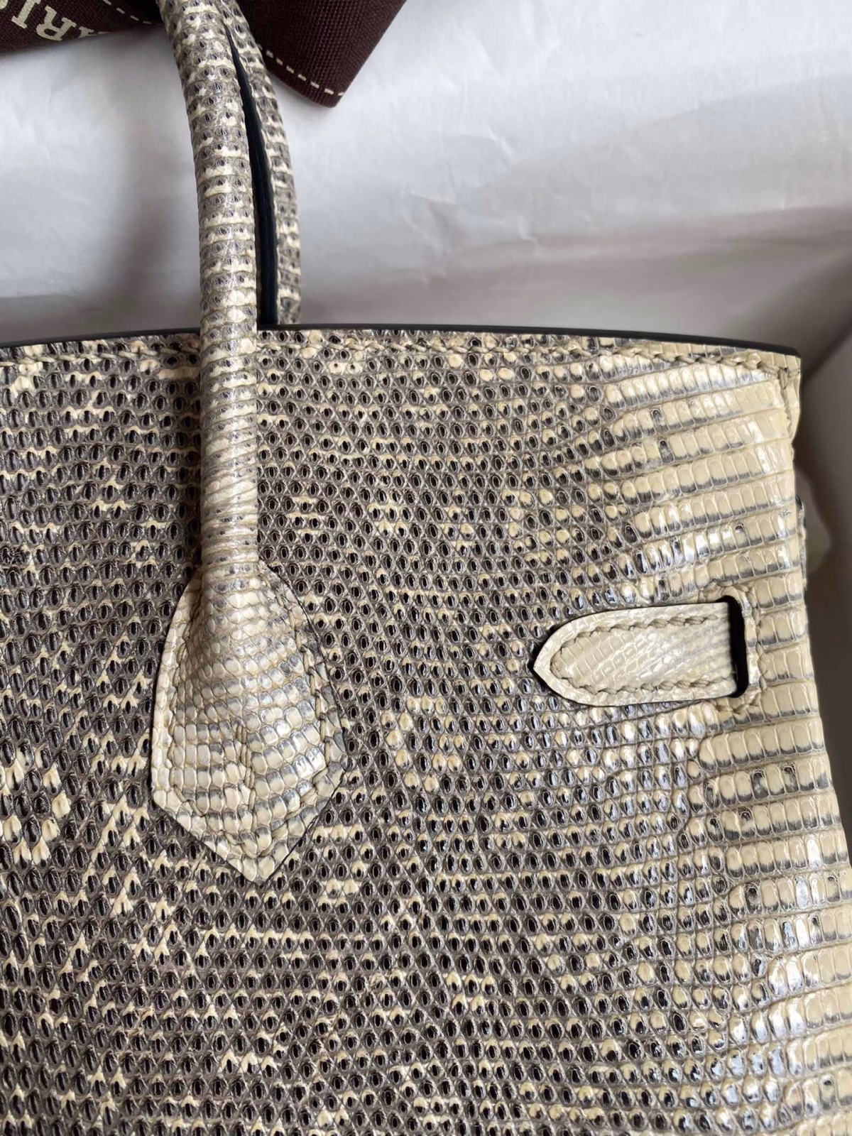 Hermes Birkin 25 Retourne Handmade Bag In Ombre Lizard Leather - Image 8