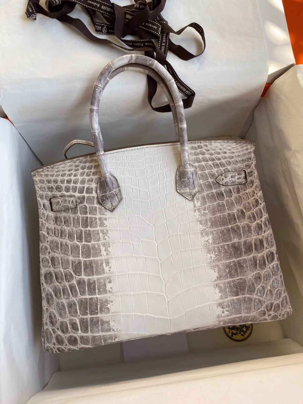 Hermes Birkin 25 Retourne Bag In Himalaya Niloticus Crocodile Skin - Image 6