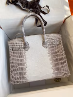 Hermes Birkin 25 Retourne Bag In Himalaya Niloticus Crocodile Skin - Image 6