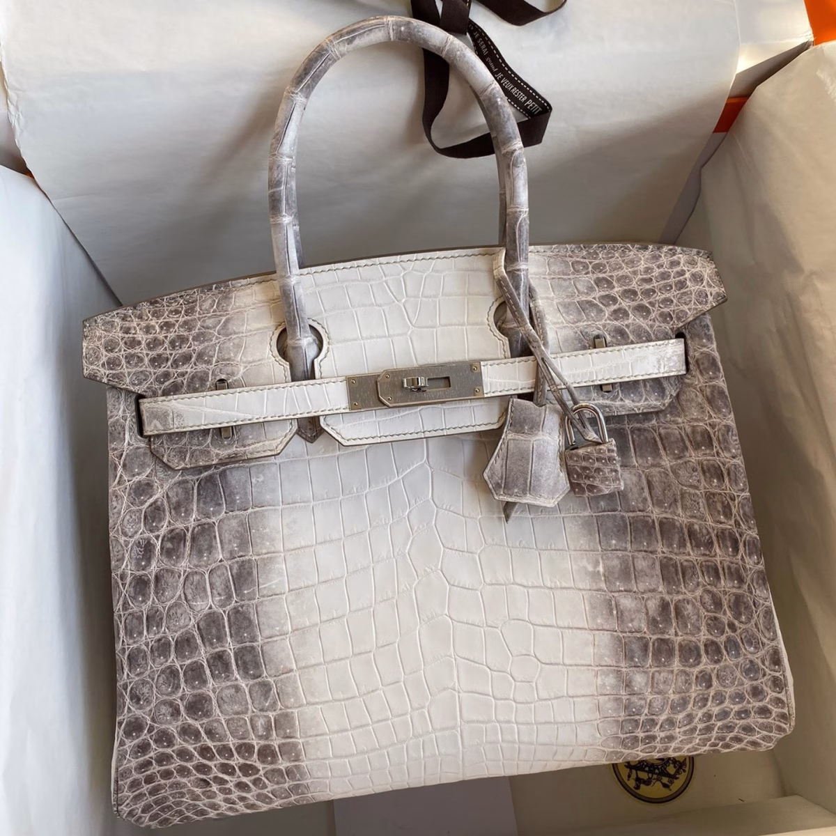 Hermes Birkin 25 Retourne Bag In Himalaya Niloticus Crocodile Skin - Image 1