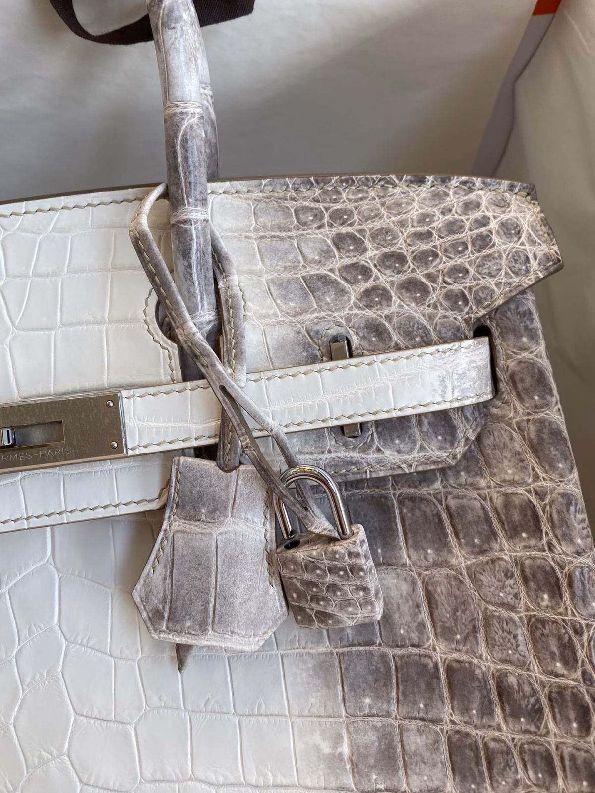 Hermes Birkin 25 Retourne Bag In Himalaya Niloticus Crocodile Skin - Image 7