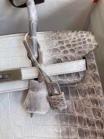 Hermes Birkin 25 Retourne Bag In Himalaya Niloticus Crocodile Skin - Image 7