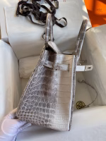 Hermes Birkin 25 Retourne Bag In Himalaya Niloticus Crocodile Skin - Image 9