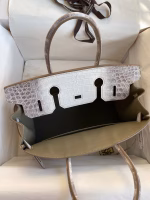 Hermes Birkin 25 Retourne Bag In Himalaya Niloticus Crocodile Skin - Image 3