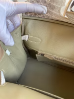 Hermes Birkin 25 Retourne Bag In Himalaya Niloticus Crocodile Skin - Image 4