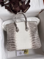 Hermes Birkin 25 Diamond Bag In Himalaya Niloticus Crocodile Skin - Image 10