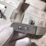 Hermes Birkin 25 Diamond Bag In Himalaya Niloticus Crocodile Skin - Image 8