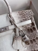 Hermes Birkin 25 Diamond Bag In Himalaya Niloticus Crocodile Skin - Image 9
