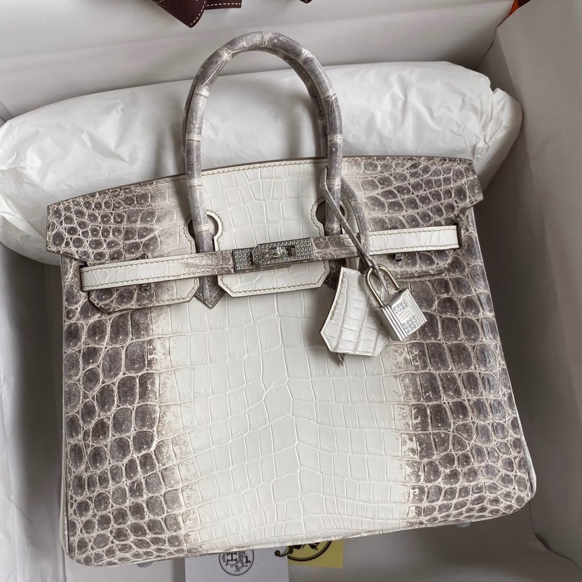Hermes Birkin 25 Diamond Bag In Himalaya Niloticus Crocodile Skin - Image 1