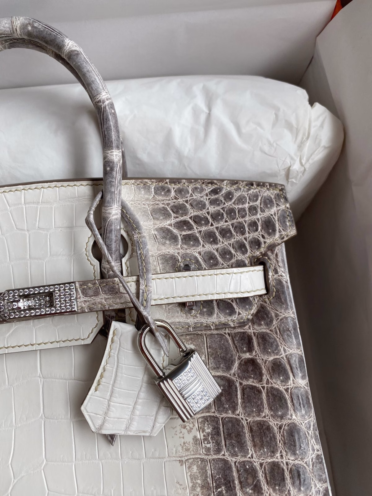 Hermes Birkin 25 Diamond Bag In Himalaya Niloticus Crocodile Skin - Image 11