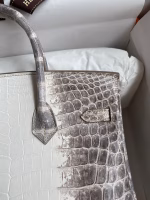 Hermes Birkin 25 Diamond Bag In Himalaya Niloticus Crocodile Skin - Image 12