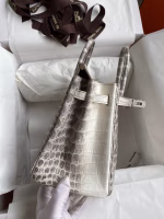 Hermes Birkin 25 Diamond Bag In Himalaya Niloticus Crocodile Skin - Image 2