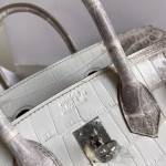 Hermes Birkin 25 Diamond Bag In Himalaya Niloticus Crocodile Skin - Image 6