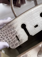 Hermes Birkin 25 Diamond Bag In Himalaya Niloticus Crocodile Skin - Image 4