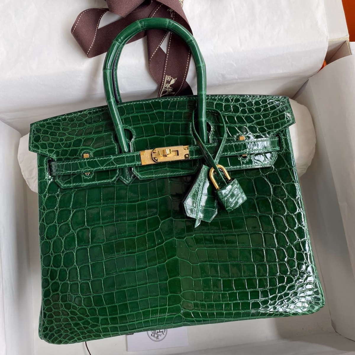 Hermes Birkin 25 Handmade Bag In Malachite Crocodile Niloticus Shiny Skin - Image 1