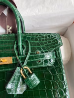 Hermes Birkin 25 Handmade Bag In Malachite Crocodile Niloticus Shiny Skin - Image 7