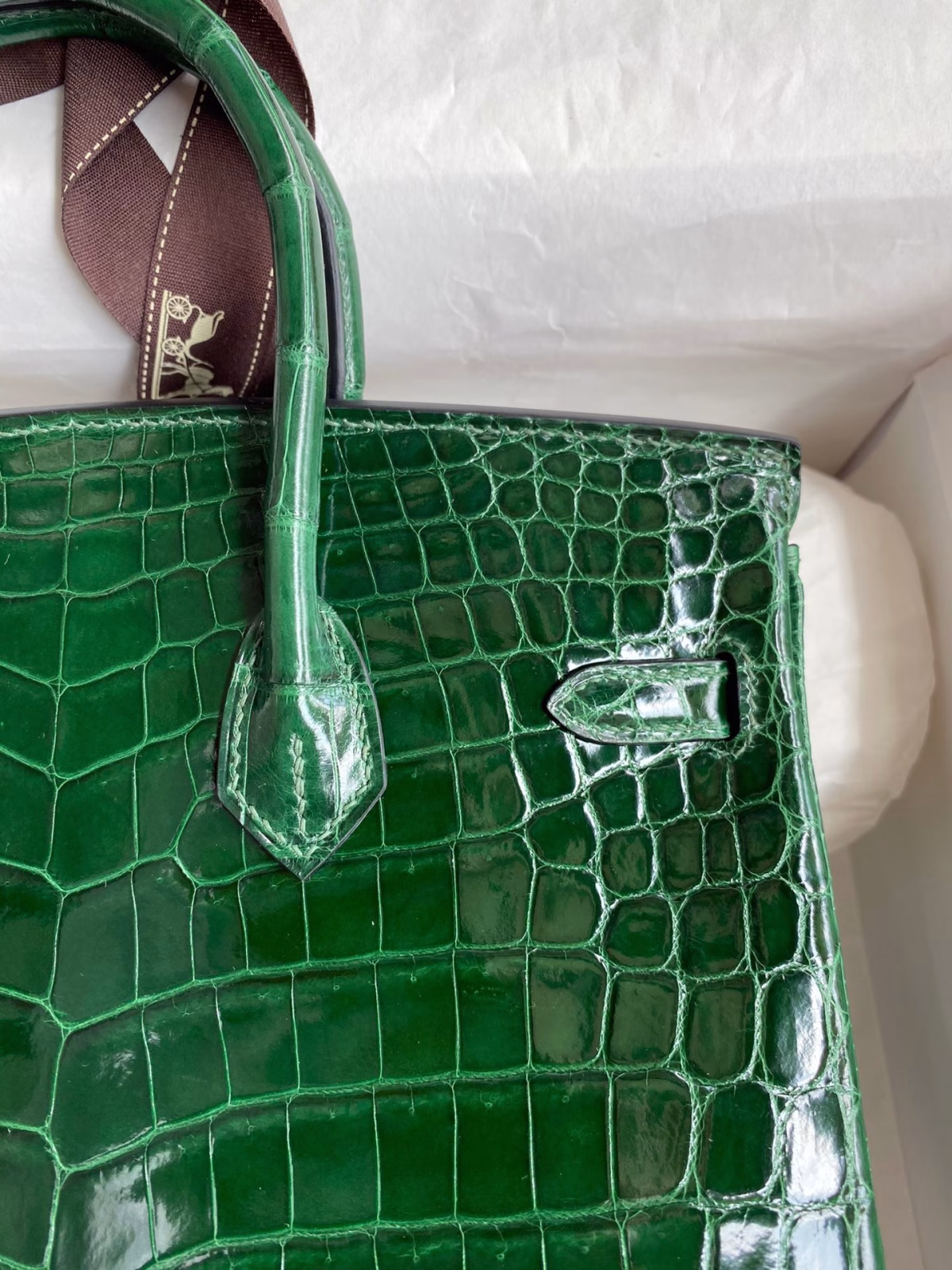 Hermes Birkin 25 Handmade Bag In Malachite Crocodile Niloticus Shiny Skin - Image 8