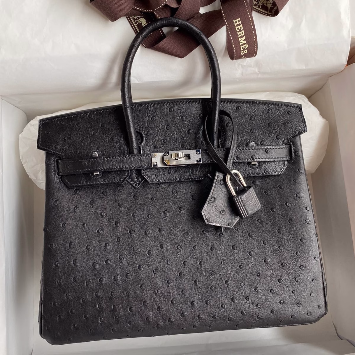 Hermes Birkin 25 Retourne Handmade Bag In Black Ostrich Leather - Image 1
