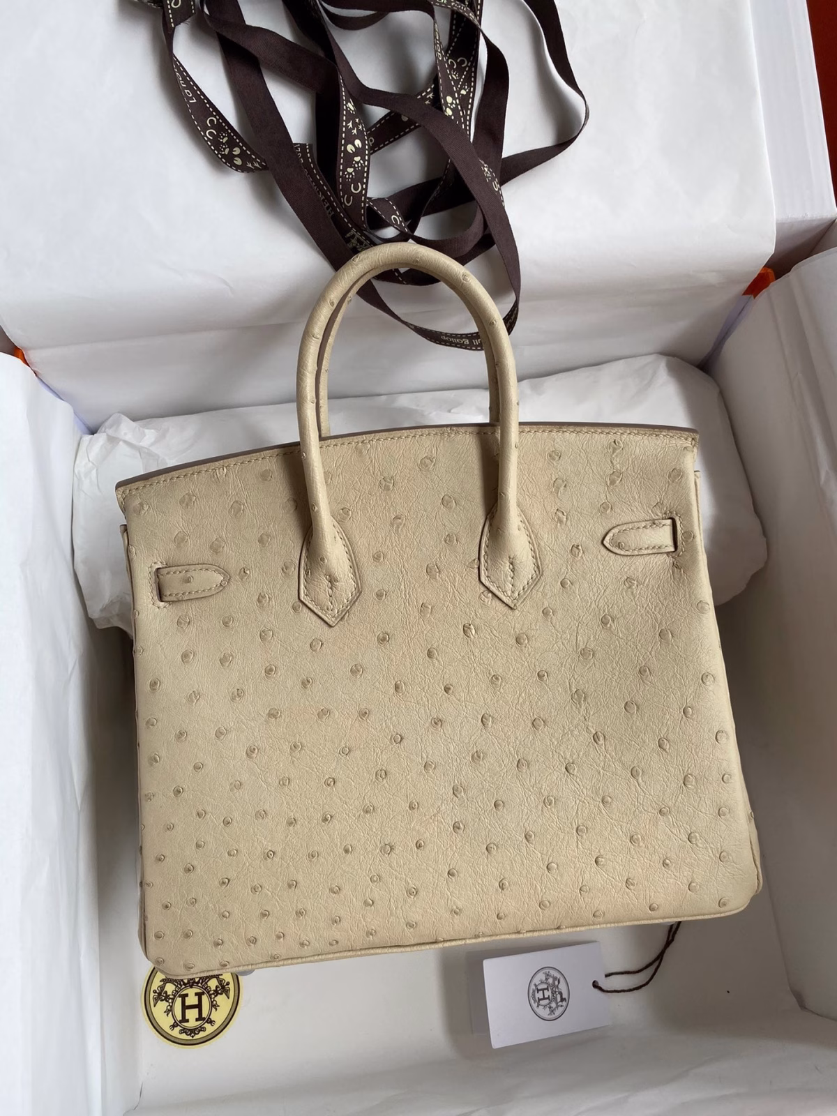 Hermes Birkin 25 Retourne Handmade Bag In Parchemin Ostrich Leather - Image 6
