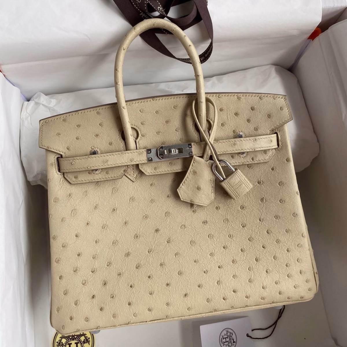 Hermes Birkin 25 Retourne Handmade Bag In Parchemin Ostrich Leather - Image 1