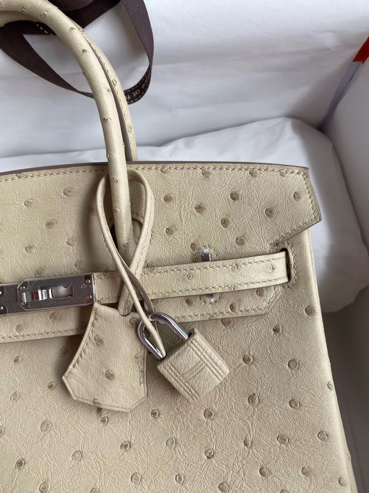 Hermes Birkin 25 Retourne Handmade Bag In Parchemin Ostrich Leather - Image 7