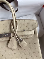 Hermes Birkin 25 Retourne Handmade Bag In Parchemin Ostrich Leather - Image 7