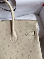 Hermes Birkin 25 Retourne Handmade Bag In Parchemin Ostrich Leather - Image 8