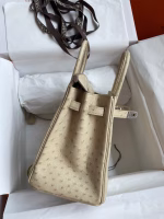 Hermes Birkin 25 Retourne Handmade Bag In Parchemin Ostrich Leather - Image 9