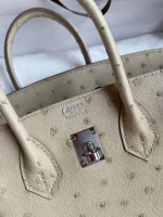 Hermes Birkin 25 Retourne Handmade Bag In Parchemin Ostrich Leather - Image 2
