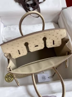 Hermes Birkin 25 Retourne Handmade Bag In Parchemin Ostrich Leather - Image 3