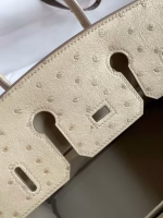 Hermes Birkin 25 Retourne Handmade Bag In Parchemin Ostrich Leather - Image 5