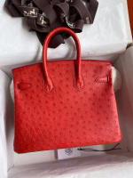 Hermes Birkin 25 Retourne Handmade Bag In Red Ostrich Leather - Image 2
