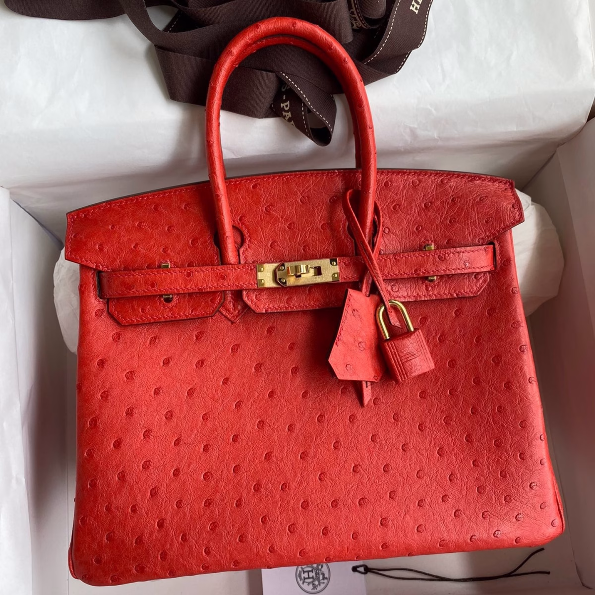 Hermes Birkin 25 Retourne Handmade Bag In Red Ostrich Leather - Image 1