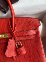 Hermes Birkin 25 Retourne Handmade Bag In Red Ostrich Leather - Image 7