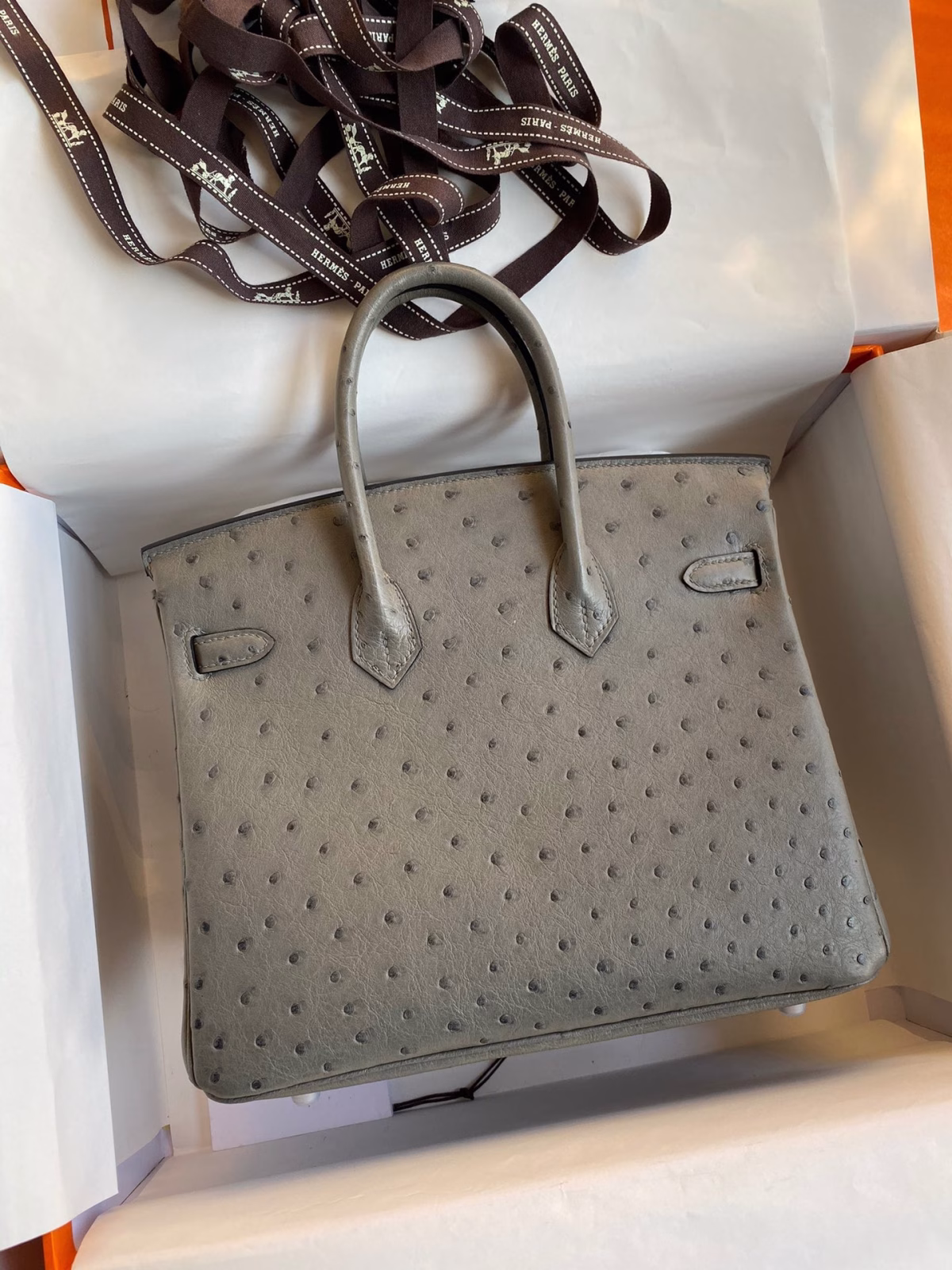 Hermes Birkin 25 Retourne Handmade Bag In Gris Tourterelle Ostrich Leather - Image 6