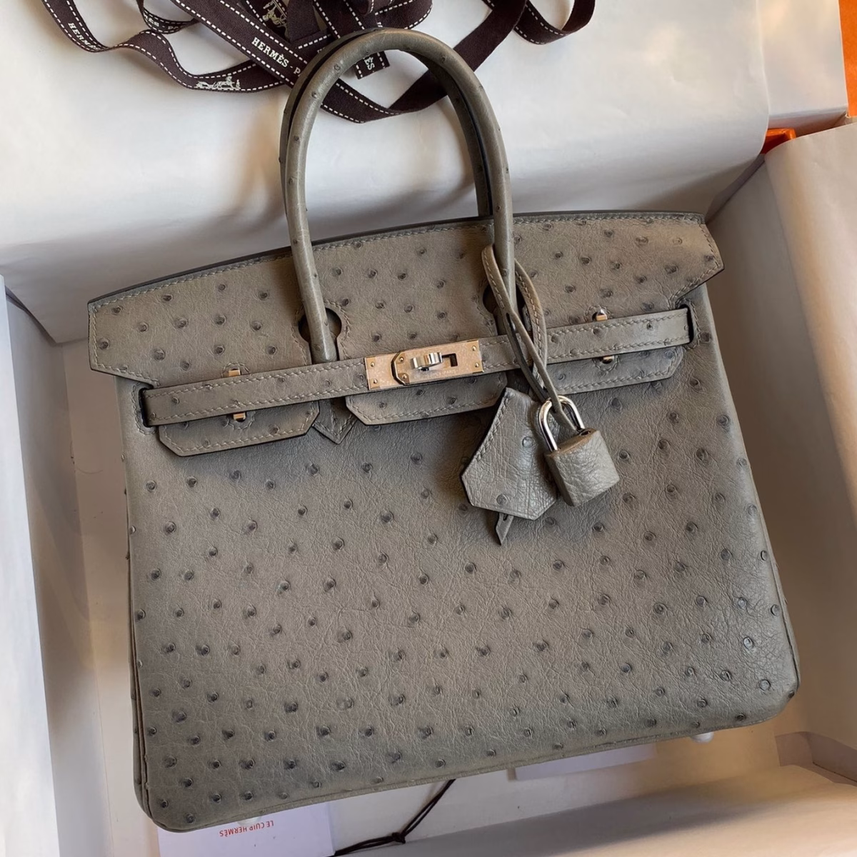 Hermes Birkin 25 Retourne Handmade Bag In Gris Tourterelle Ostrich Leather - Image 1