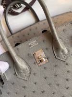 Hermes Birkin 25 Retourne Handmade Bag In Gris Tourterelle Ostrich Leather - Image 3