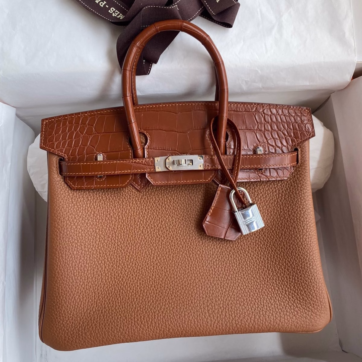 Hermes Touch Birkin 25 Bag in Gold Togo and Matte Alligator Leather - Image 1