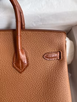 Hermes Touch Birkin 25 Bag in Gold Togo and Matte Alligator Leather - Image 8
