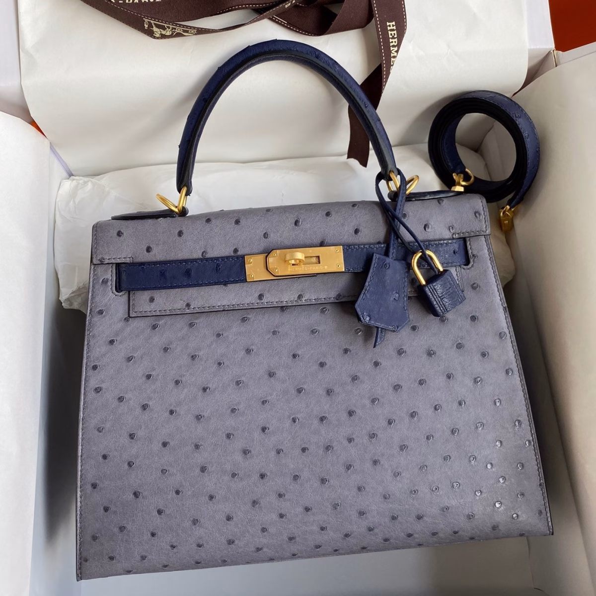 Hermes Kelly Sellier 25 Bicolor Bag in Gris Agate and Blue Ostrich Leather - Image 1