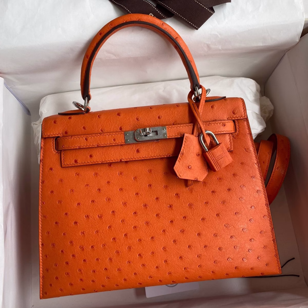 Hermes Kelly Sellier 25 Handmade Bag In Orange Ostrich Leather - Image 1