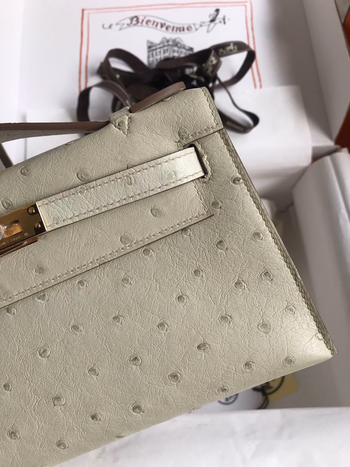 Hermes Kelly Pochette Handmade Bag In Beton Ostrich Leather - Image 8