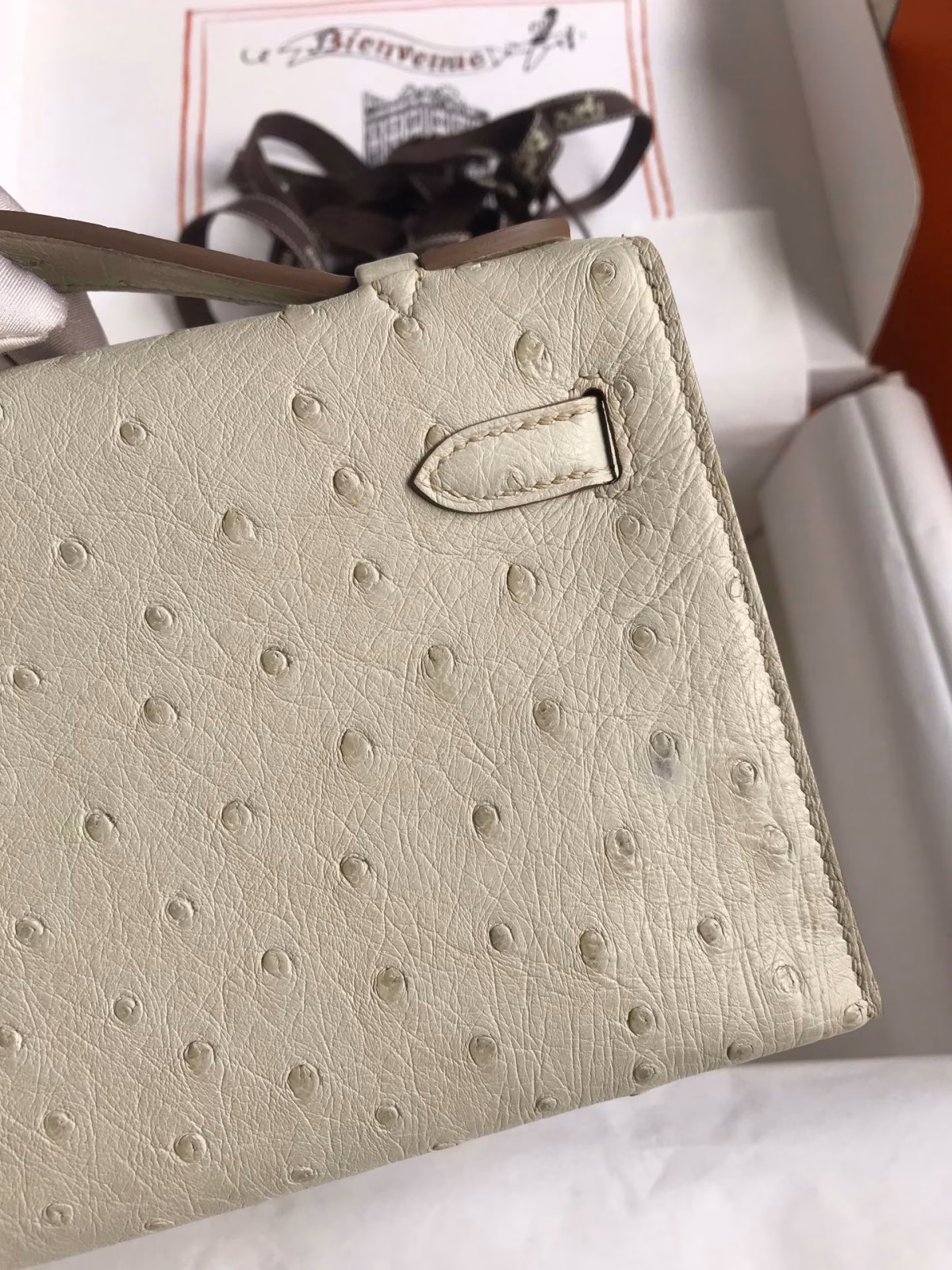 Hermes Kelly Pochette Handmade Bag In Beton Ostrich Leather - Image 9