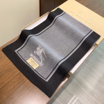 Burberry New Autumn & Winter Scarf