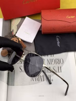 【Cartier】Unisex Polarized Sunglasses - Image 6