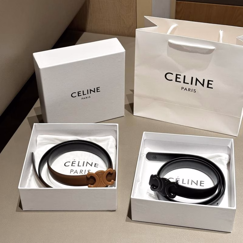 3 Celine Arc de Triomphe Black and Brown Women's Belt - Image 1