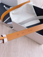 Loewe Autumn/Winter New Collection Belt in Italian Imported Calfskin - Image 3