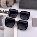 Dior D9295 High-Quality New Women's Polarized Sunglasses