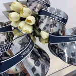 DIOR 2022 New Star Lens Hat - Image 6